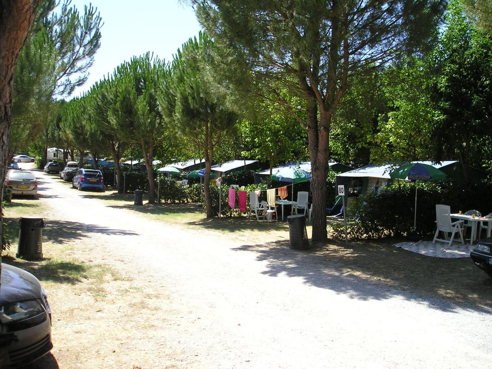 Capannole Camping Village La Chiocciola מראה חיצוני תמונה