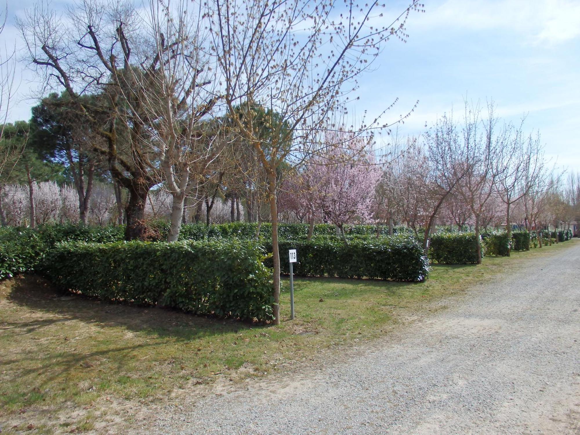 Capannole Camping Village La Chiocciola מראה חיצוני תמונה