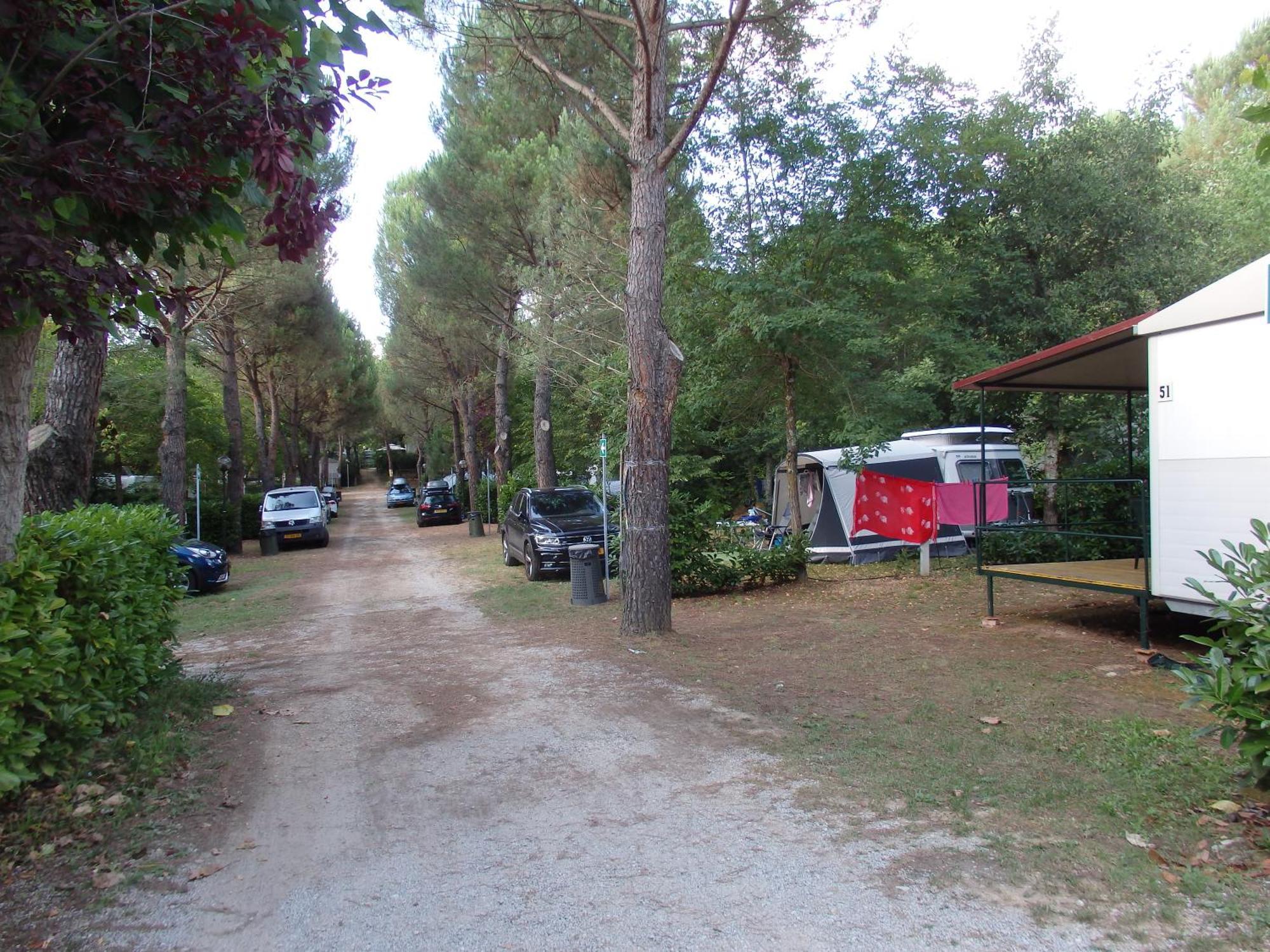 Capannole Camping Village La Chiocciola מראה חיצוני תמונה