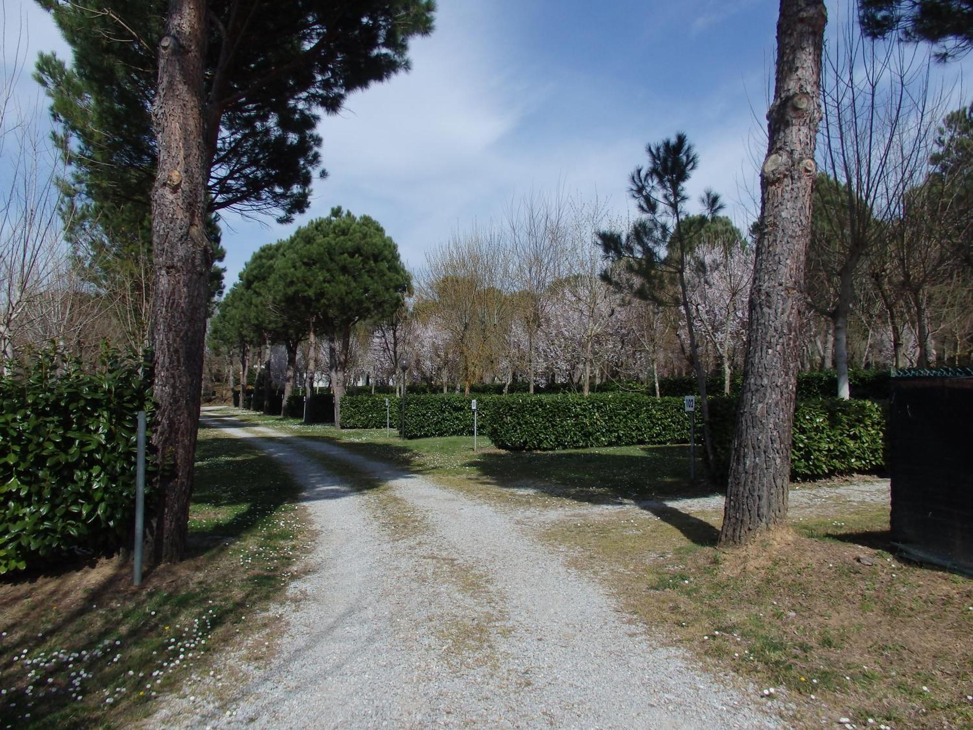 Capannole Camping Village La Chiocciola מראה חיצוני תמונה