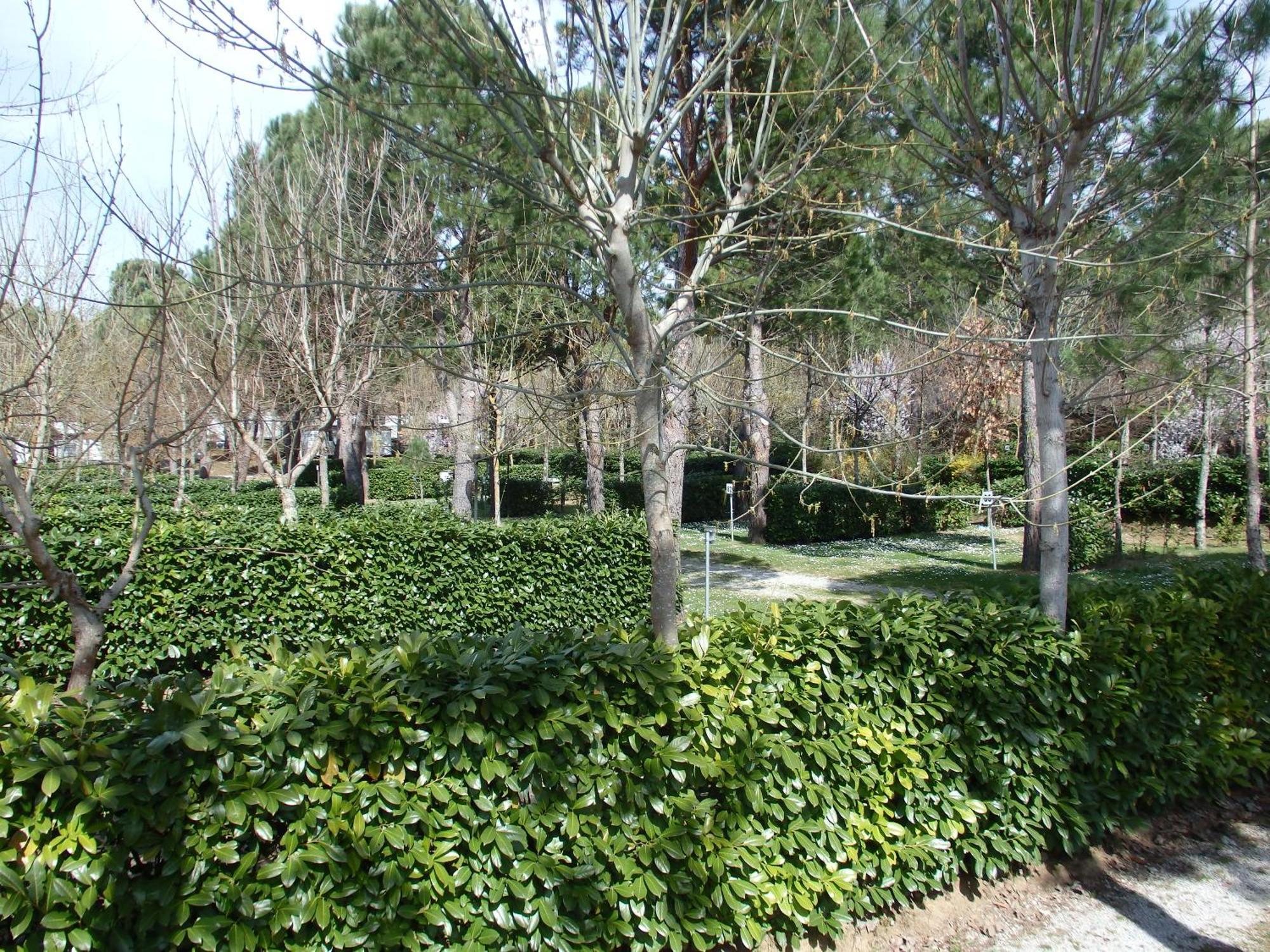 Capannole Camping Village La Chiocciola מראה חיצוני תמונה